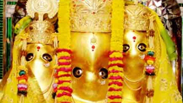 naidunia_image